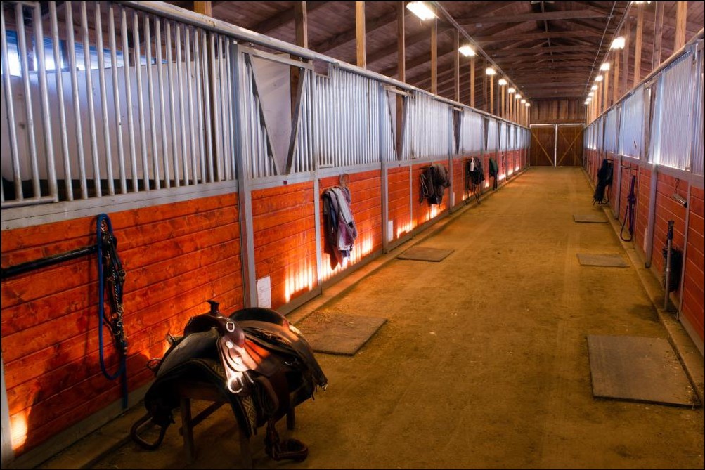 Thoroughly Cleaned Horse Stable