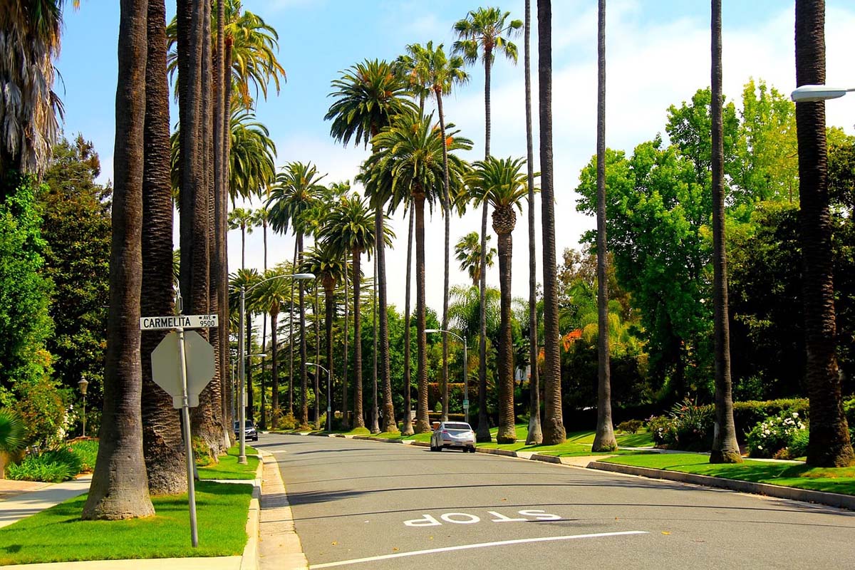 , Should You Buy a House or a Condo in Holmby Hills?