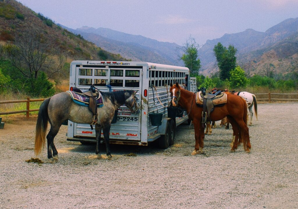 horse property in Malibu